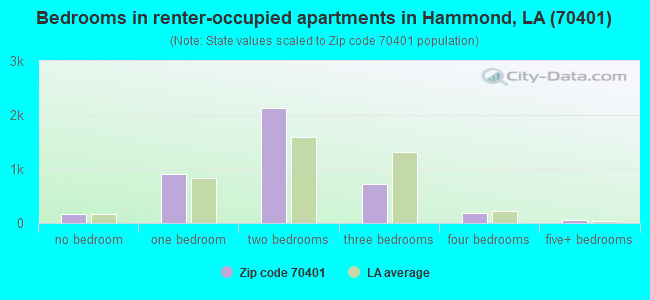Bedrooms in renter-occupied apartments in Hammond, LA (70401) 