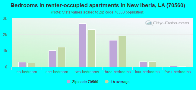 Bedrooms in renter-occupied apartments in New Iberia, LA (70560) 
