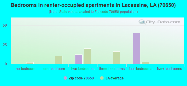 Bedrooms in renter-occupied apartments in Lacassine, LA (70650) 