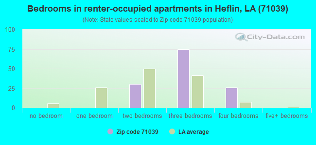 Bedrooms in renter-occupied apartments in Heflin, LA (71039) 