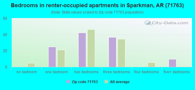 Bedrooms in renter-occupied apartments in Sparkman, AR (71763) 