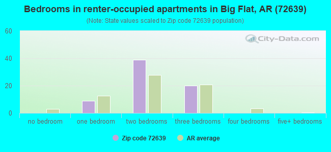 Bedrooms in renter-occupied apartments in Big Flat, AR (72639) 