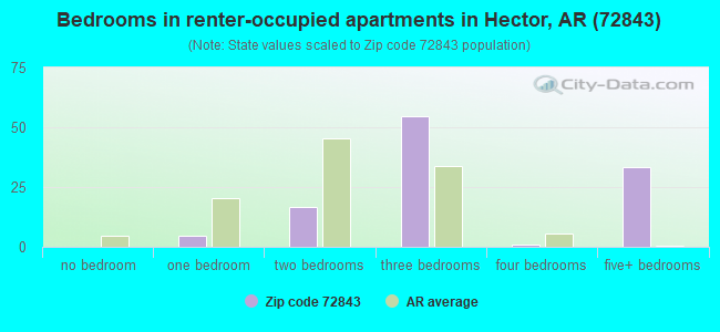 Bedrooms in renter-occupied apartments in Hector, AR (72843) 