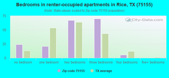 Bedrooms in renter-occupied apartments in Rice, TX (75155) 