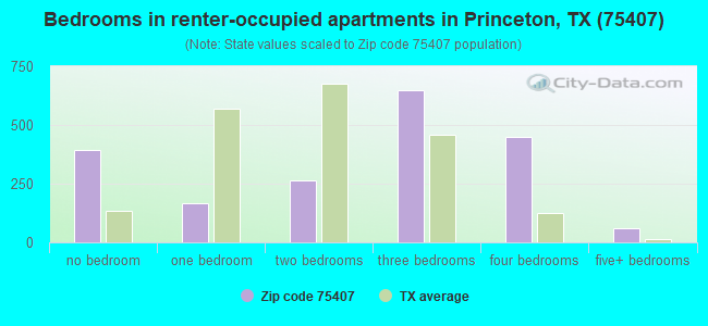 Bedrooms in renter-occupied apartments in Princeton, TX (75407) 
