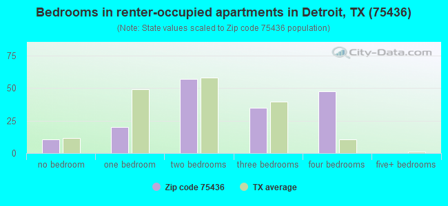 Bedrooms in renter-occupied apartments in Detroit, TX (75436) 