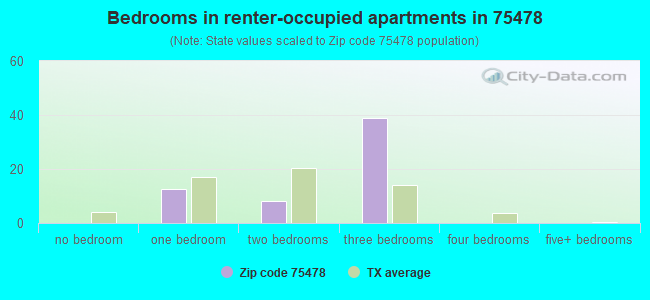 Bedrooms in renter-occupied apartments in 75478 