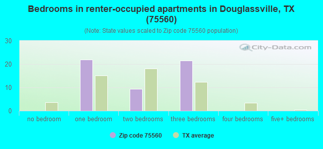 Bedrooms in renter-occupied apartments in Douglassville, TX (75560) 
