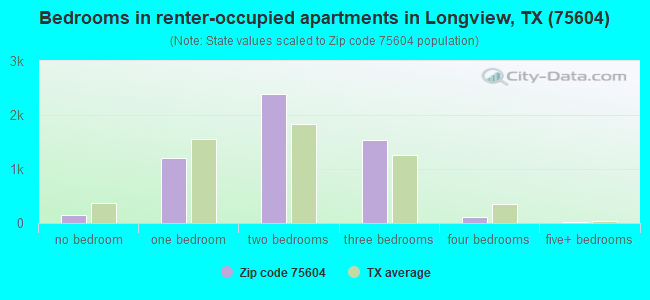 Bedrooms in renter-occupied apartments in Longview, TX (75604) 