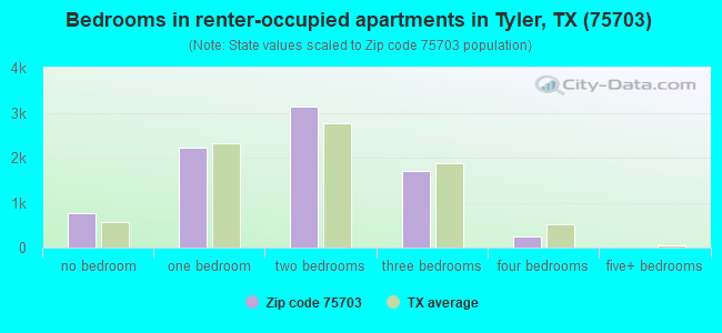 Bedrooms in renter-occupied apartments in Tyler, TX (75703) 