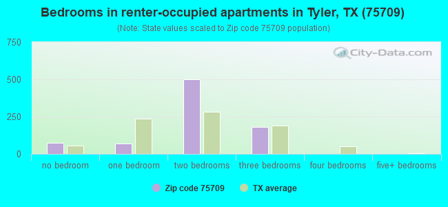Bedrooms in renter-occupied apartments in Tyler, TX (75709) 