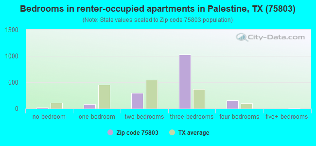 Bedrooms in renter-occupied apartments in Palestine, TX (75803) 