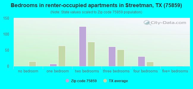 Bedrooms in renter-occupied apartments in Streetman, TX (75859) 