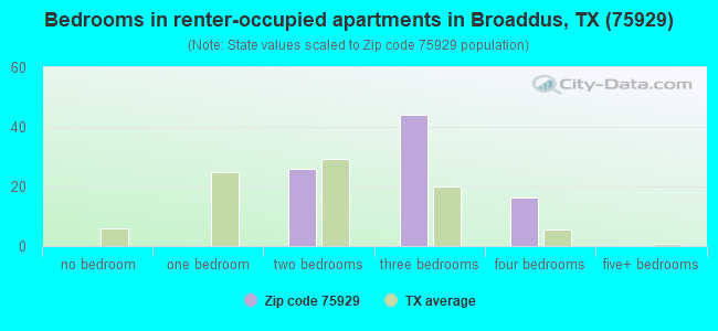 Bedrooms in renter-occupied apartments in Broaddus, TX (75929) 