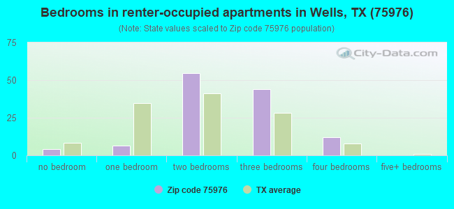 Bedrooms in renter-occupied apartments in Wells, TX (75976) 