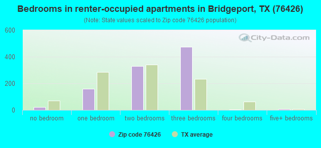 Bedrooms in renter-occupied apartments in Bridgeport, TX (76426) 