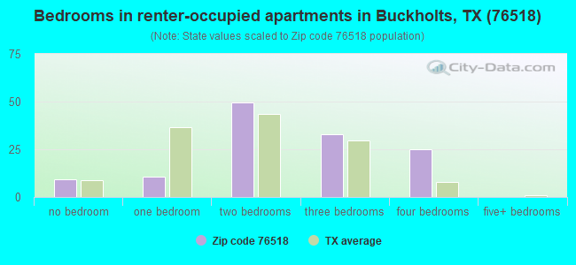 Bedrooms in renter-occupied apartments in Buckholts, TX (76518) 