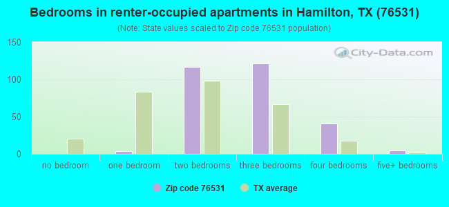Bedrooms in renter-occupied apartments in Hamilton, TX (76531) 