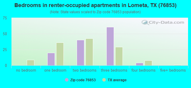 Bedrooms in renter-occupied apartments in Lometa, TX (76853) 