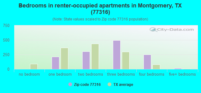 Bedrooms in renter-occupied apartments in Montgomery, TX (77316) 