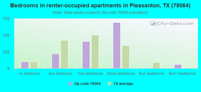 Bedrooms in renter-occupied apartments in Pleasanton, TX (78064) 