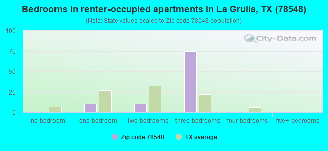 Bedrooms in renter-occupied apartments in La Grulla, TX (78548) 