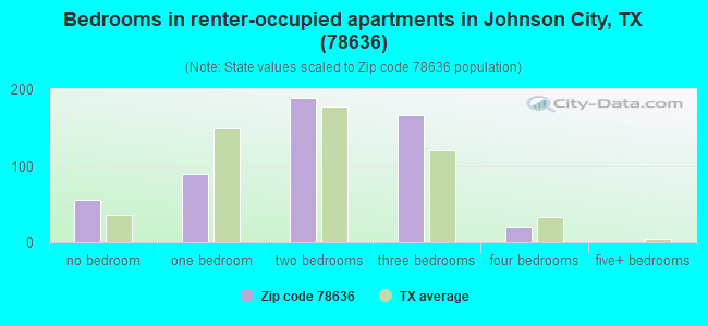 Bedrooms in renter-occupied apartments in Johnson City, TX (78636) 