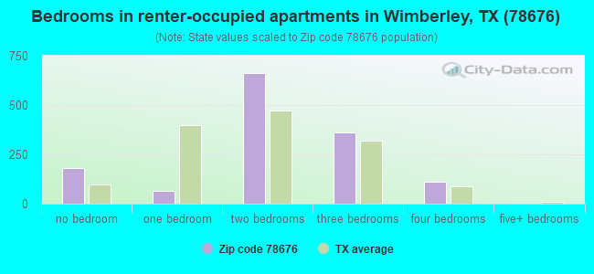 Bedrooms in renter-occupied apartments in Wimberley, TX (78676) 