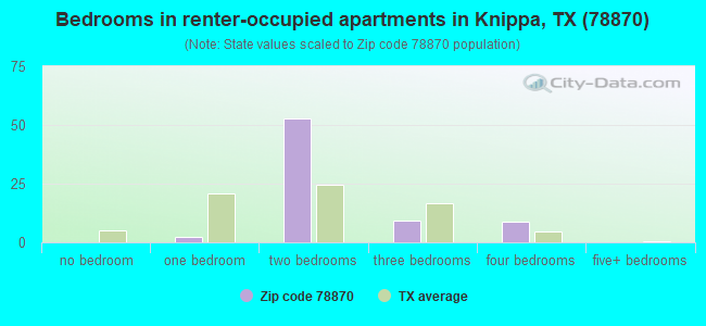 Bedrooms in renter-occupied apartments in Knippa, TX (78870) 
