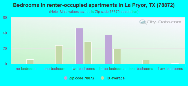Bedrooms in renter-occupied apartments in La Pryor, TX (78872) 