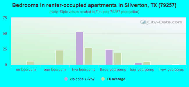 Bedrooms in renter-occupied apartments in Silverton, TX (79257) 