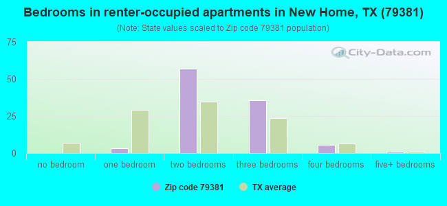 Bedrooms in renter-occupied apartments in New Home, TX (79381) 