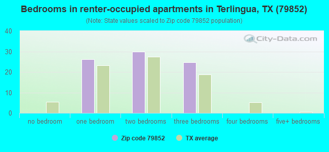 Bedrooms in renter-occupied apartments in Terlingua, TX (79852) 