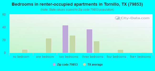 Bedrooms in renter-occupied apartments in Tornillo, TX (79853) 