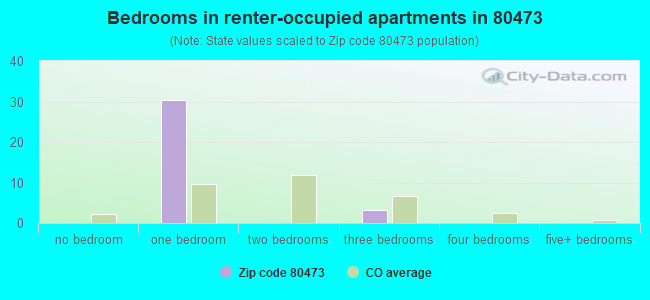 Bedrooms in renter-occupied apartments in 80473 