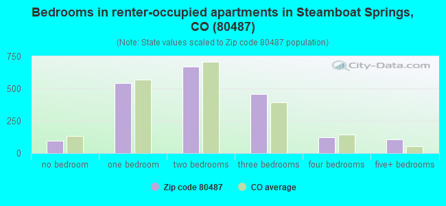 Bedrooms in renter-occupied apartments in Steamboat Springs, CO (80487) 