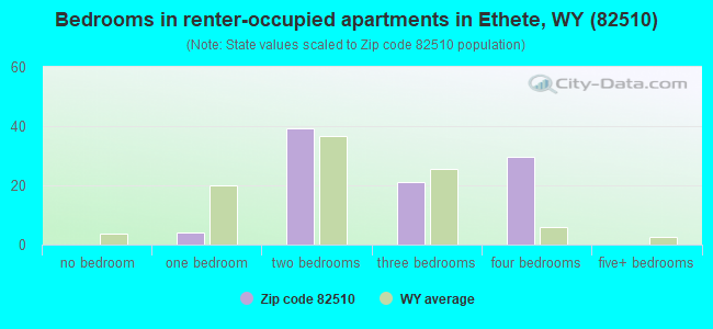 Bedrooms in renter-occupied apartments in Ethete, WY (82510) 