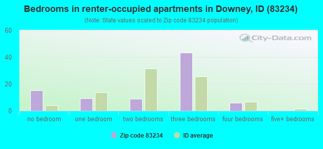 Bedrooms in renter-occupied apartments in Downey, ID (83234) 