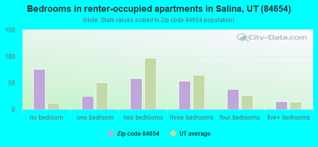 Bedrooms in renter-occupied apartments in Salina, UT (84654) 