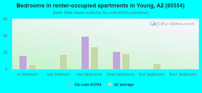 Bedrooms in renter-occupied apartments in Young, AZ (85554) 