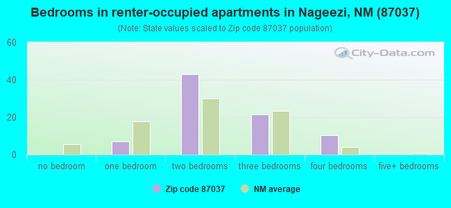 Bedrooms in renter-occupied apartments in Nageezi, NM (87037) 