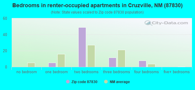 Bedrooms in renter-occupied apartments in Cruzville, NM (87830) 