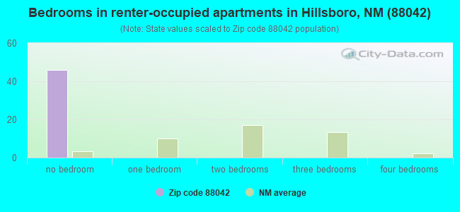 Bedrooms in renter-occupied apartments in Hillsboro, NM (88042) 