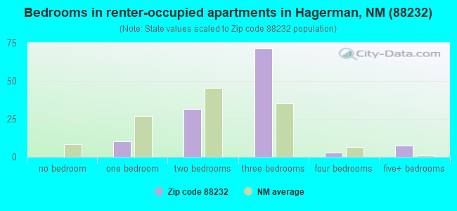 Bedrooms in renter-occupied apartments in Hagerman, NM (88232) 