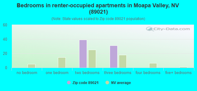 Bedrooms in renter-occupied apartments in Moapa Valley, NV (89021) 