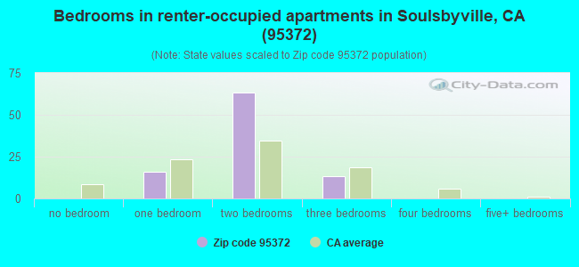 Bedrooms in renter-occupied apartments in Soulsbyville, CA (95372) 