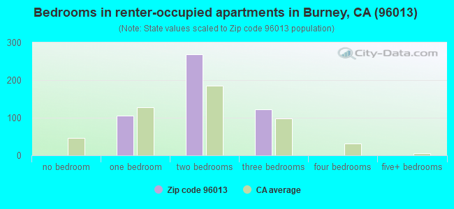 Bedrooms in renter-occupied apartments in Burney, CA (96013) 
