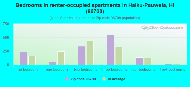 Bedrooms in renter-occupied apartments in Haiku-Pauwela, HI (96708) 