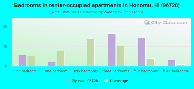 Bedrooms in renter-occupied apartments in Honomu, HI (96728) 