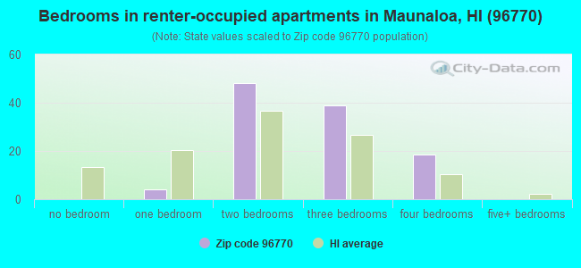 Bedrooms in renter-occupied apartments in Maunaloa, HI (96770) 